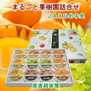 Q̔_ JAЂߒ ܂邲Ɖʎl t[c[[ 120g12 ϔ yt[c k [[ Mtgz yΕz