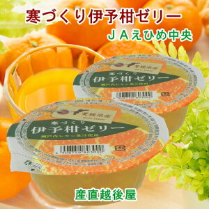 Q̔_ JAЂߒ Q̉ʎ ɗ\Jbv[[ Âɗ\[[155g 30 yt[c k [[ Mtgz yΕz