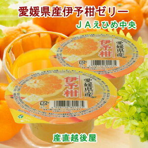 Q̔_ JAЂߒ Q̉ʎ ɗ\Jbv[[ ɗ\[[ 120g 30 yt[c k [[ Mtgz yΕz