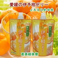 愛媛県の農協 JAえひめ中央 愛媛の果実 飲む伊予柑のゼリー 150g 24個 送料無料【フルーツ 柑橘類 ジュー…