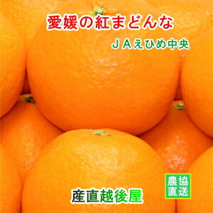 Q̔_ JAЂߒ Q̍g܂ǂ 3kgiGLTCYj _Ynւł͂ y݂ t[c Mtg Oz yΕz