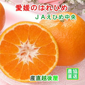 Q̔_ JAЂߒ Q̂͂Ђ 5kgiGSTCYj_Ynւł͂ yt[c Mtg O v[gz yΕz