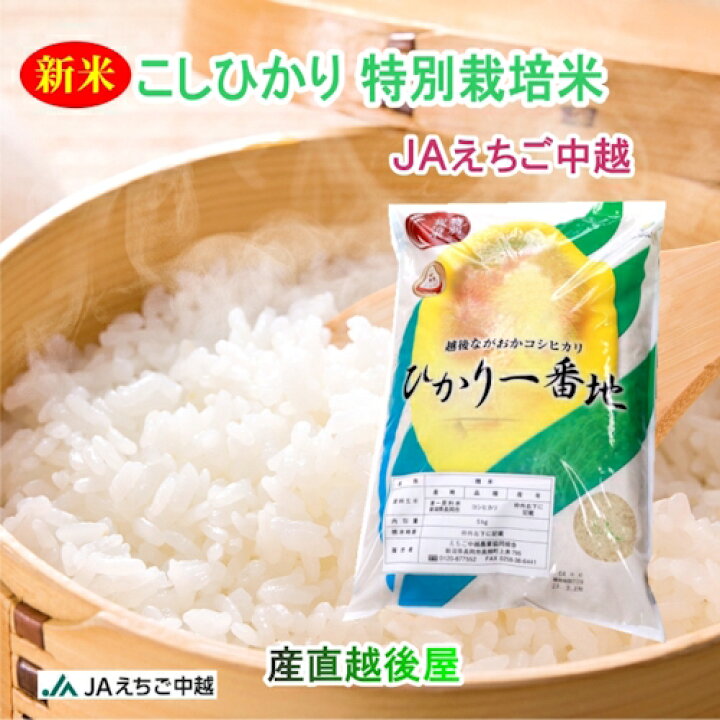 楽天市場】令和7年産 コシヒカリ 新潟産 新潟県 JAえちご中越農協 