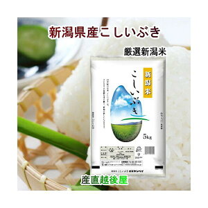 令和7年産 新米 新潟県産 新潟県産 新潟米 こしいぶき5kg JA農協米 新潟ケンベイ産 送料無料【米 こしひかり ギフト グルメ】
