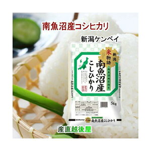 令和7年産 新米 魚沼産 コシヒカリ 新潟県南魚沼産 特A地区 コシヒカリ10kg JA農協米 新潟ケンベイ産 送料無料【米 こしひかり ギフト グルメ】
