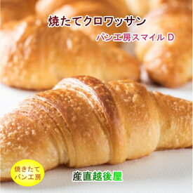 越後十日町 パン工房 スマイルD焼きたてクロワッサン 10個入 送料無料【ギフト グルメ プレゼント 焼たて】