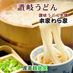 麺類 生うどん 讃岐うどん 送料無料香川県屋島 讃岐うどんの老舗 わら家ざいご生うどん(讃岐うどん)6人前炒り子出しのめん汁付き6袋【生めん 贈答品 グルメ お歳暮】 【お歳暮】