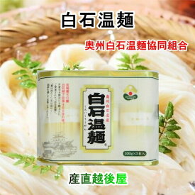 白石温麺 宮城県白石市 奥州白石温麺協同組合 白石温麺 真伝承白石うーめん バラ100g3束 20袋（60束）送料無料【 お中元 素麺 温麺 ギフト グルメ】 【お歳暮】