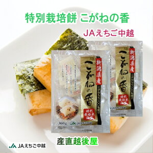 V JAz_Y n˖ 360g(8)v3pbN VOpbN y Mtg Oz yΕz