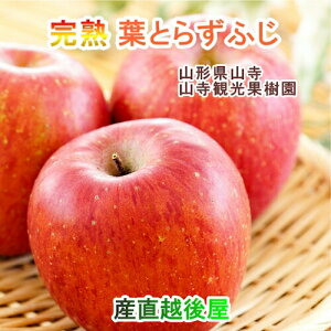 Rόʎ R`Y n t炸ӂ 10kg 4L`5Li36jyʕ Mtg Oz yΕz