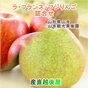 Rόʎ R`Y EtX t炸ӂ l 3kgi9jyʕ Mtg Oz yΕz