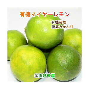 ꌧ s L@݂񍲓_ L@]}C[ 3kg ̂肽Ă_Yn y~J ʎ Mtg O _͔|z