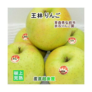 XOOs Ԑ΂񂲉 X  5kgi12ʁ`20ʁjʏi Ԍ ㊮n yS ʕ i Mtg Oz yΕz