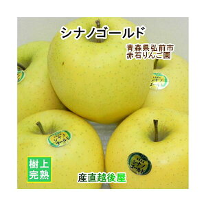 XOOs Ԑ΂񂲉 X VimS[h 2.5kg i6ʁ`10ʁjʏi Ԍ ㊮n yS ʕ i Mtg Oz yΕz