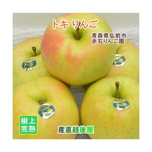 青森県弘前市 赤石りんご園 青森りんご トキ 2.5kg(7玉〜12玉)通常品 期間限定 樹上完熟りんご 送料無料【リンゴ 果物 贈答品 ギフト グルメ】