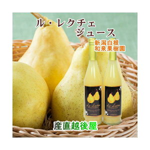 V ͔|_ aʎN`F100W[X 500ml 1{Xp[NO200ml 2{v3{ϔ yEN`F  i v[gz