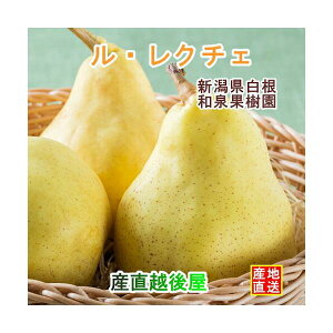 V ͔|_ aʎL@엿͔| N`F 3kg(6`9jƒp yEN`F  Mtg v[gz yΕz