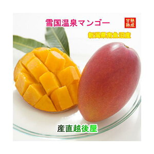 �V���� �싛���Y �ፑ����}���S�[ ����̔M�ň�Ă��Ïn�}���S�[ 3L�T�C�Y 460g�ȏ� 1�� ���������y�ʎ� �M�t�g �O�����z �y�䒆���z