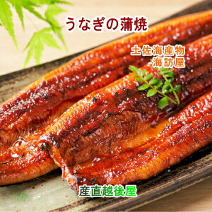 mms yCY CK mmYȂ̊ 2 yⓀ Mtg O 蕨 Ynz