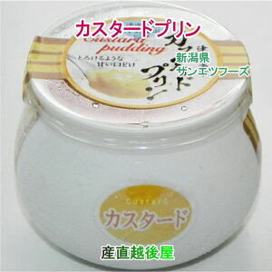 VTGct[Y VYHނɌ zv Iׂ5ނ̃v̖ 110ml v5 yⓀ i MtgOz y̓z