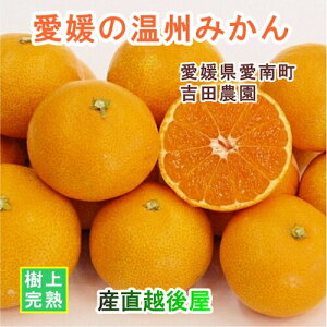 Q 쒬 ݂ʎ gc_ ㊮n͔| Q݂ 5kg ʏi ̂肽Ă_Yn y~J ʎ Mtg O iz yΕz