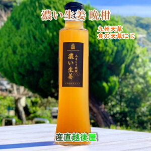 F{ Vs H̓Vɂ܂ӊZI 5{ 2{VY̓Vӊ I Igp y  W[X Mtgz yΕz