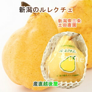 V GRt@[}[F_ yc_L@엿͔| ̗mN`Fƒp 1kg(2`3jyEN`F  Mtg v[gz yΕz