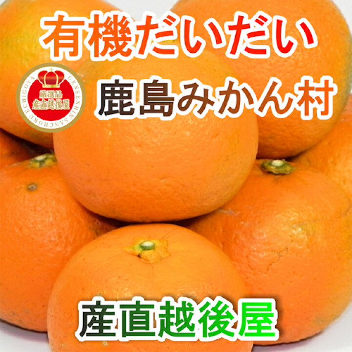 楽天市場 フルーツ みかん 有機栽培だいだい 佐賀県 鹿島市 有機みかん佐藤農場有機栽培 だいだい 2 5kg採りたてを農園から産地直送 送料無料 ミカン 果実 ギフト 無農薬栽培 産直越後屋