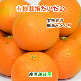 佐賀県 鹿島市 有機みかん佐藤農場有機転換栽培 だいだい 2.5kg採りたてを農園から産地直送 送料無料【柑橘類 果実 ギフト 無農薬栽培】