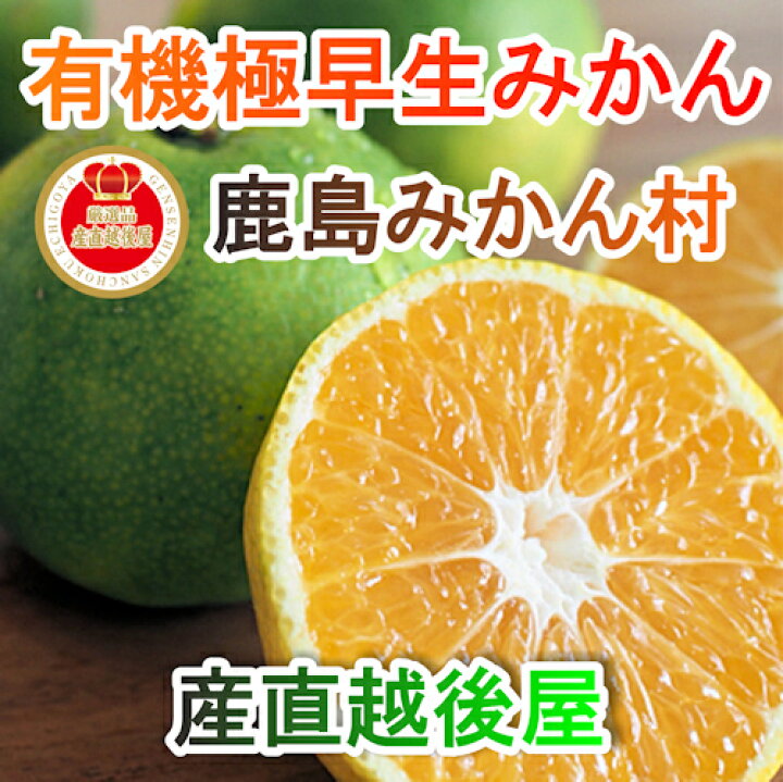 楽天市場 フルーツ みかん 有機栽培みかん 佐賀県 鹿島市 有機みかん佐藤農場有機栽培 極早生みかん 5kg採りたてを農園から産地直送 送料無料 ミカン 果実 ギフト 無農薬栽培 産直越後屋