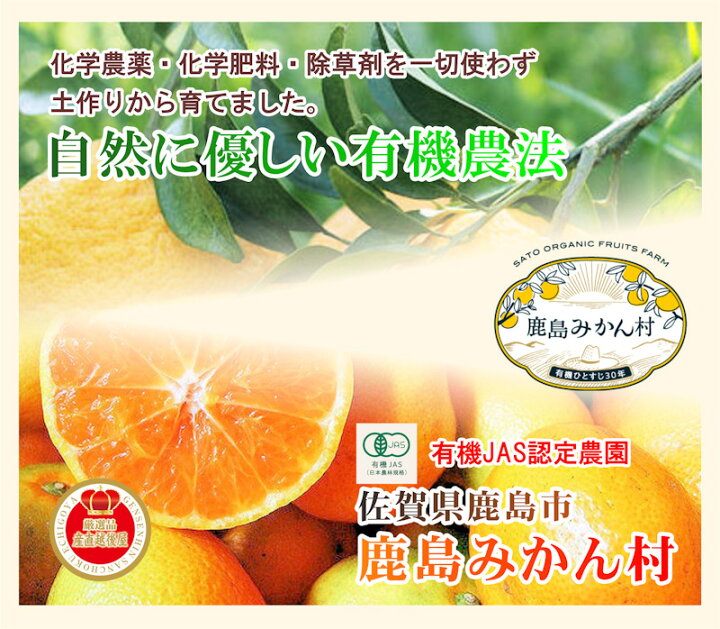 楽天市場 フルーツ みかん 有機栽培みかん 佐賀県 鹿島市 有機みかん佐藤農場有機栽培 温州みかん 10kg採りたてを農園から産地直送 送料無料 ミカン 果実 ギフト 無農薬栽培 産直越後屋