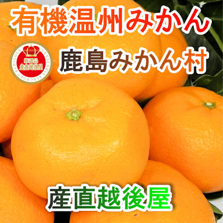 楽天市場 フルーツ みかん 有機栽培みかん 佐賀県 鹿島市 有機みかん佐藤農場有機栽培 温州みかん 10kg採りたてを農園から産地直送 送料無料 ミカン 果実 ギフト 無農薬栽培 産直越後屋