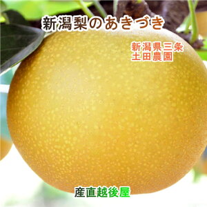 V GRt@[}[F_ yc_ L@엿͔| Â p 3kg(5`8j㊮nyȂ i v[gz