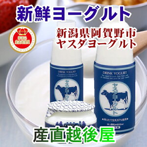 y\tghN ރ[OgzVs X_[OghN[Og800g 6{著yVN Mtg 蕨z