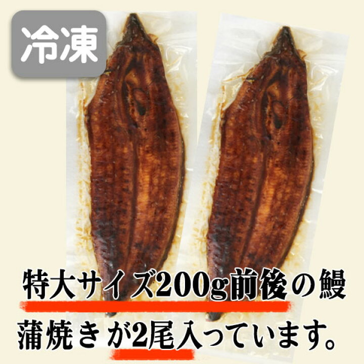 楽天市場】特大サイズ 2尾入り 1尾200グラム 鹿児島県 大隅産 国産 