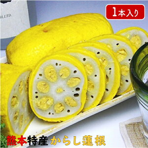 Yi F{ 炵@ ꂼ{̖ @Ƀc[Ƃh܂Ȃ 𒸂Ă肢܂B