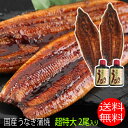 超特大サイズ 2尾入り 1尾250グラム前後 鹿児島県 大隅産 国産 税込 送料無料 うなぎの蒲焼 特製うなぎのタレ無料進呈中