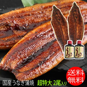 TCY 2 1250OO  Y Y ō  Ȃ̊ Ȃ̃^i撆