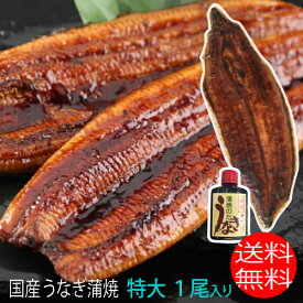 特大サイズ 1尾入り 1尾200グラム前後 鹿児島県 大隅産 国産 送料無料 うなぎの蒲焼