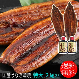 特大サイズ 2尾入り 1尾200グラム 鹿児島県 大隅産 国産 税込 送料無料 うなぎの蒲焼 鰻