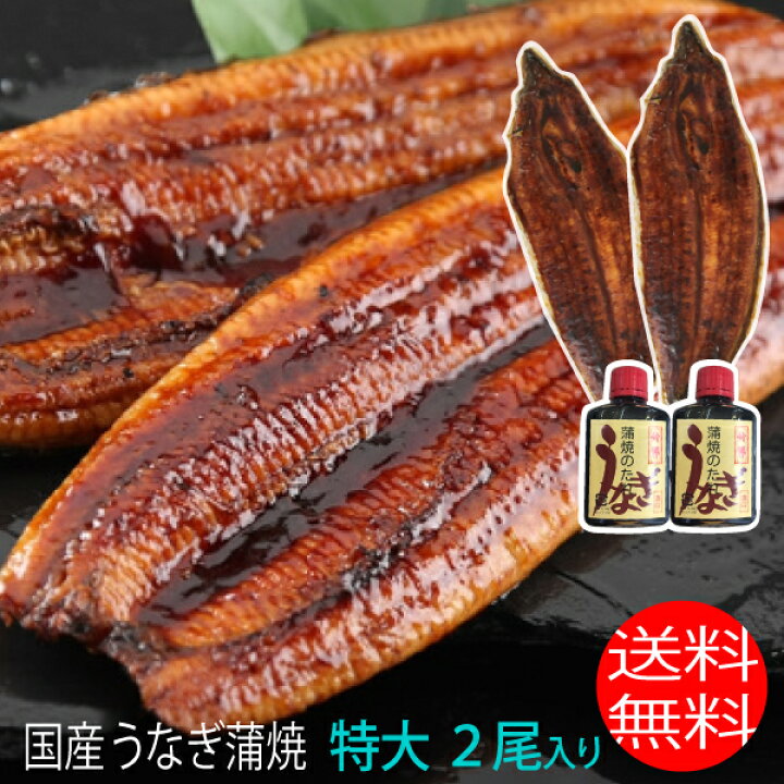 楽天市場 特大サイズ ２尾入り 1尾0グラム 鹿児島県 大隅産 国産 税込 送料無料 うなぎの蒲焼 鰻 火の国 さんいち庵