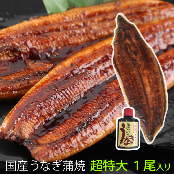 鹿児島県大隅産｜超特大２５０グラム鰻の蒲焼き1尾