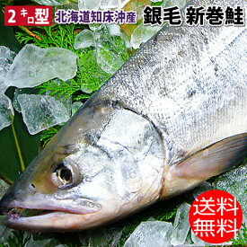 特選 国産 化粧箱入り 銀毛 新巻鮭 2キロ型