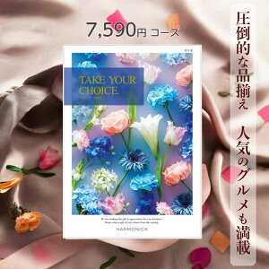 y|Cg20{z J^OMtg  n[jbN eCNA`CX ll 7,590~R[X Mtg O oY j Ԃ Mtg ԂMtg O oYj j oY