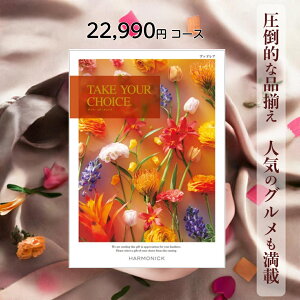 y|Cg20{z J^OMtg  n[jbN eCNA`CX ubhA 22,990~R[X Mtg O oY j Ԃ Mtg ԂMtg O oYj j 