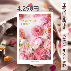 y|Cg10{z J^OMtg eCNA`CX  n[jbN K[x 4,290~R[X Mtg O oY j Ԃ Mtg ԂMtg O oYj j o