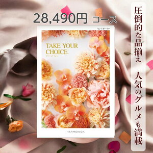 y|Cg20{z J^OMtg eCNA`CX  n[jbN Zg|[A 28,490~R[X Mtg O oY j Ԃ Mtg ԂMtg O oYj 