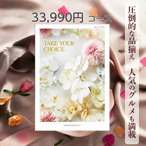 y|Cg20{z J^OMtg eCNA`CX  n[jbN IVWE 33,990~R[X Mtg O oY j Ԃ Mtg ԂMtg O oYj j