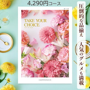 y|Cg10{z J^OMtg eCNA`CX  n[jbN K[x 4,290~R[X Mtg O oY j Ԃ Mtg ԂMtg O oYj j o