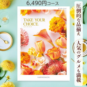 y|Cg20{z J^OMtg eCNA`CX  n[jbN J[l[V 6,490~R[X Mtg O oY j Ԃ Mtg ԂMtg O oYj 